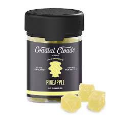 COASTAL CLOUDS HHC GUMY PINEAPPLE 500MG|684417990927|Pack Of|60