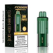 FOGER SWITCH PRO POD ICY MINT 30k|6971824063486|Pack Of|5