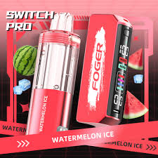FOGER SWITCH PRO KIT WATERMELON ICE 30K|6971824063011|Pack Of|5