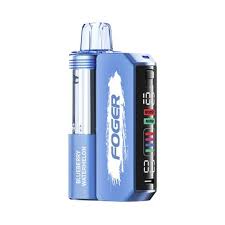 FOGER SWITCH PRO KIT BLUEBERRY WATERMELON 30K |6971824063127|Pack Of|5